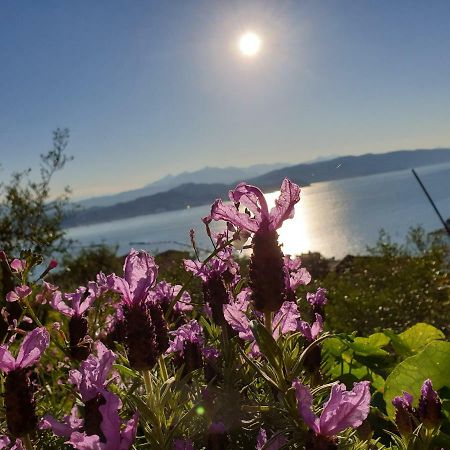il 23 Holiday Home La Spezia Dış mekan fotoğraf