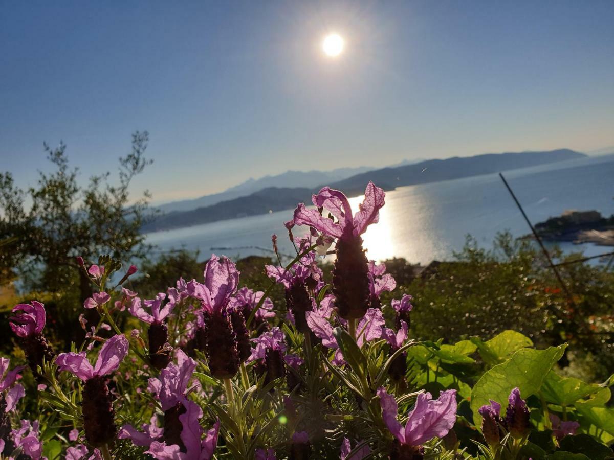 il 23 Holiday Home La Spezia Dış mekan fotoğraf
